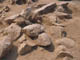 FileNo.104b-006.jpg