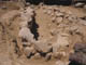 FileNo.104b-007.jpg