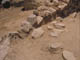FileNo.104b-015.jpg