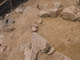 FileNo.104b-016.jpg