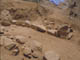 FileNo.104b-018.jpg