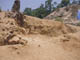 FileNo.104b-020.jpg