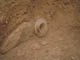 FileNo.104b-021.jpg