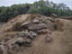 FileNo.104a-005.jpg