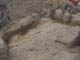FileNo.104a-007.jpg