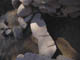 FileNo.104a-023.jpg
