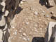 FileNo.104a-028.jpg