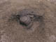 FileNo.104c-005.jpg