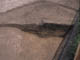 FileNo.104c-007.jpg