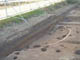 FileNo.105-001.jpg