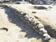 FileNo.105-022.jpg