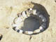 FileNo.105-024.jpg