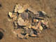 FileNo.105-027.jpg