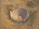 FileNo.105-028.jpg