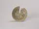FileNo.105-039.jpg