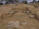 FileNo.106-006.jpg