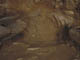 FileNo.106-009.jpg