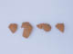 FileNo.106-016.jpg