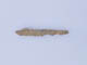 FileNo.106-025.jpg