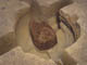 FileNo.107-017.jpg