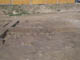 FileNo.107-025.jpg