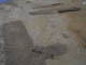 FileNo.107-036.jpg