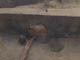 FileNo.107-044.jpg