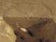 FileNo.107-049.jpg