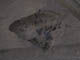 FileNo.107-051.jpg