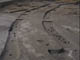 FileNo.107-057.jpg