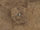FileNo.107-060.jpg