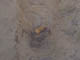 FileNo.107-062.jpg