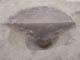 FileNo.107-063.jpg