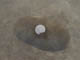 FileNo.107-064.jpg