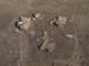 FileNo.107-068.jpg