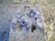FileNo.107-069.jpg