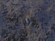 FileNo.107-081.jpg