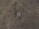 FileNo.107-082.jpg