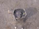 FileNo.107-084.jpg