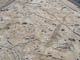 FileNo.107-103.jpg
