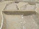 FileNo.107-116.jpg