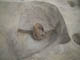FileNo.107-124.jpg