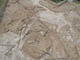 FileNo.107-134.jpg