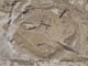 FileNo.107-139.jpg