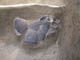 FileNo.107-154.jpg