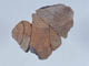 FileNo.107-161.jpg