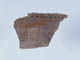 FileNo.107-162.jpg