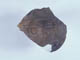 FileNo.107-174.jpg