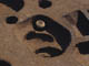 FileNo.108-017.jpg