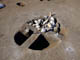 FileNo.108-046.jpg